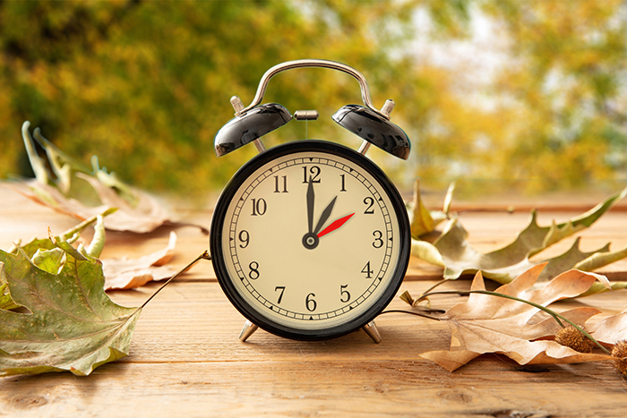 Tick Tock. Daylight Savings and its Impact on Older Adults