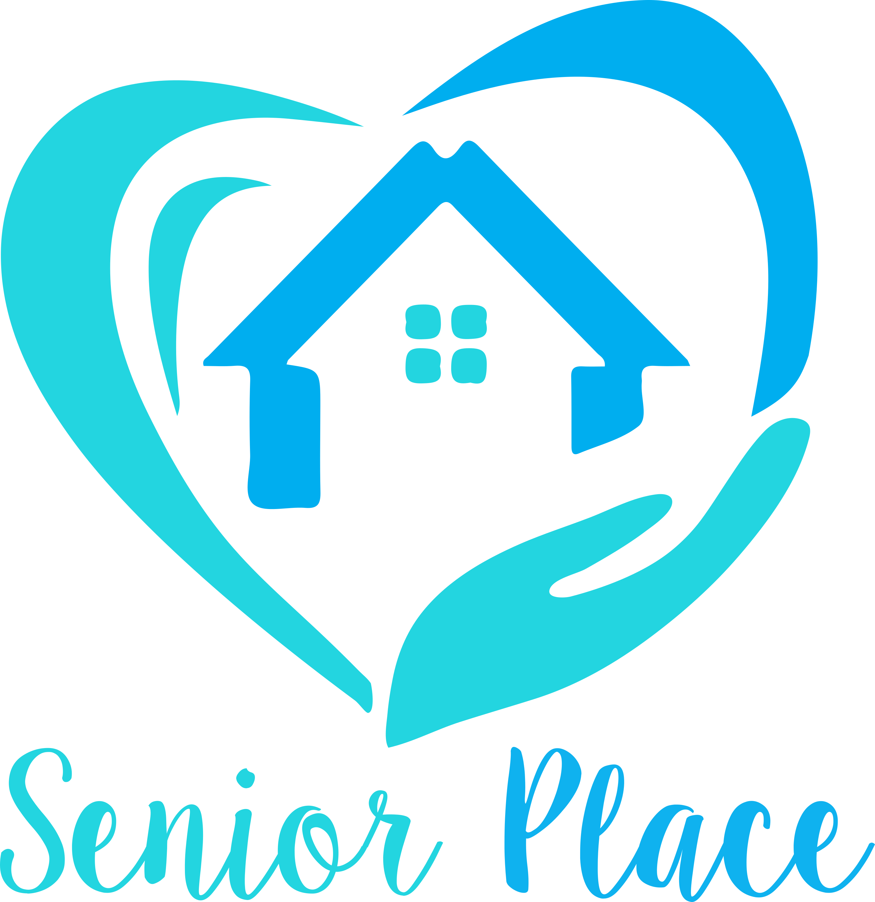 Senior Place is proud to partner with Mom's House